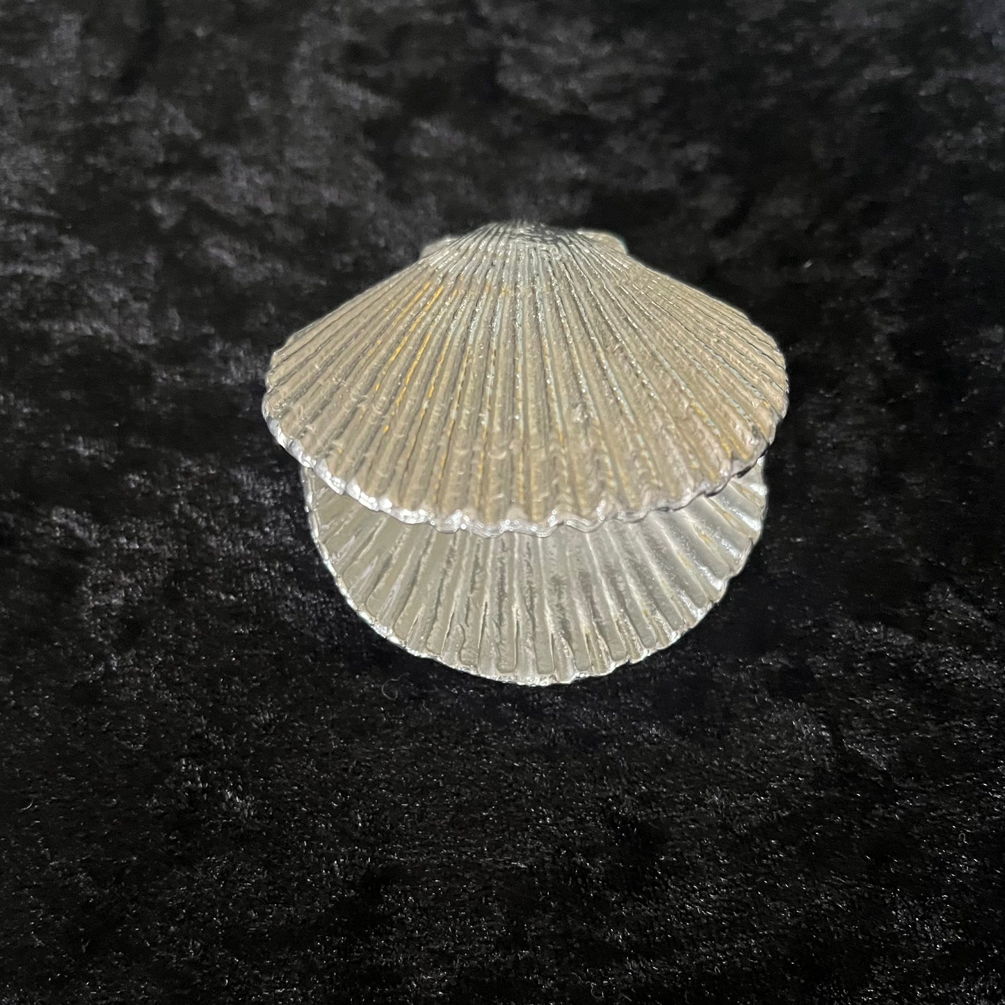 Scallop Hidden Pearl Trinket Holder