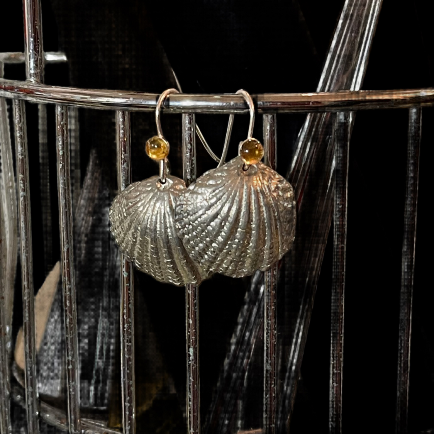 Scallop Shell Earrings