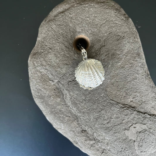 Scallop Hidden Pearl Necklace