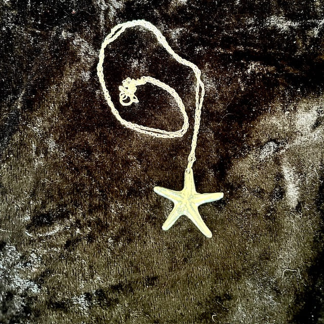 Starfish Pendant on a silver chain