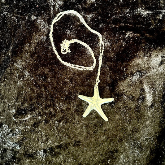 Starfish Pendant on a silver chain
